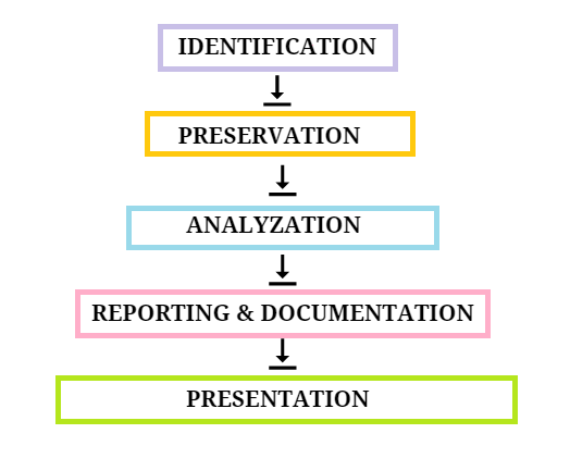 Evidence Collection Process 