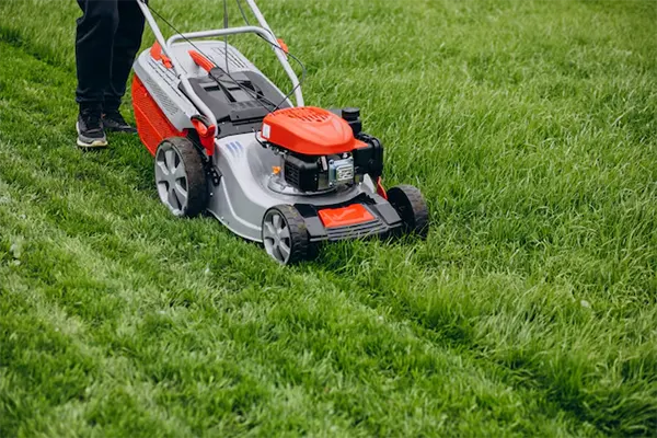 Proper Mowing Techniques