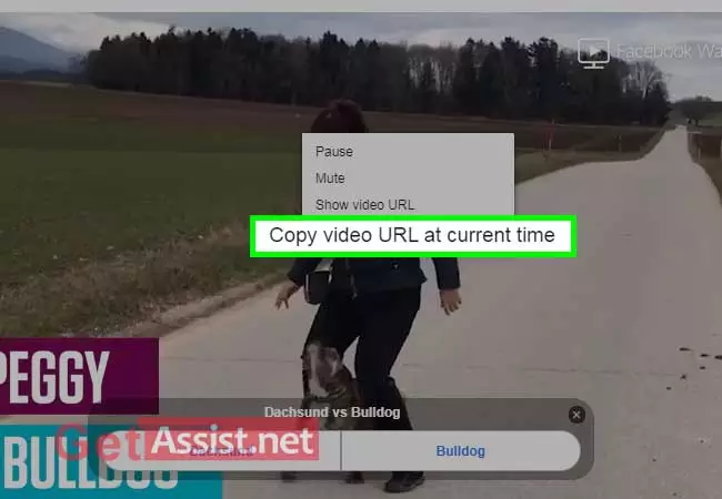 Right click on the video, click copy video url at current time