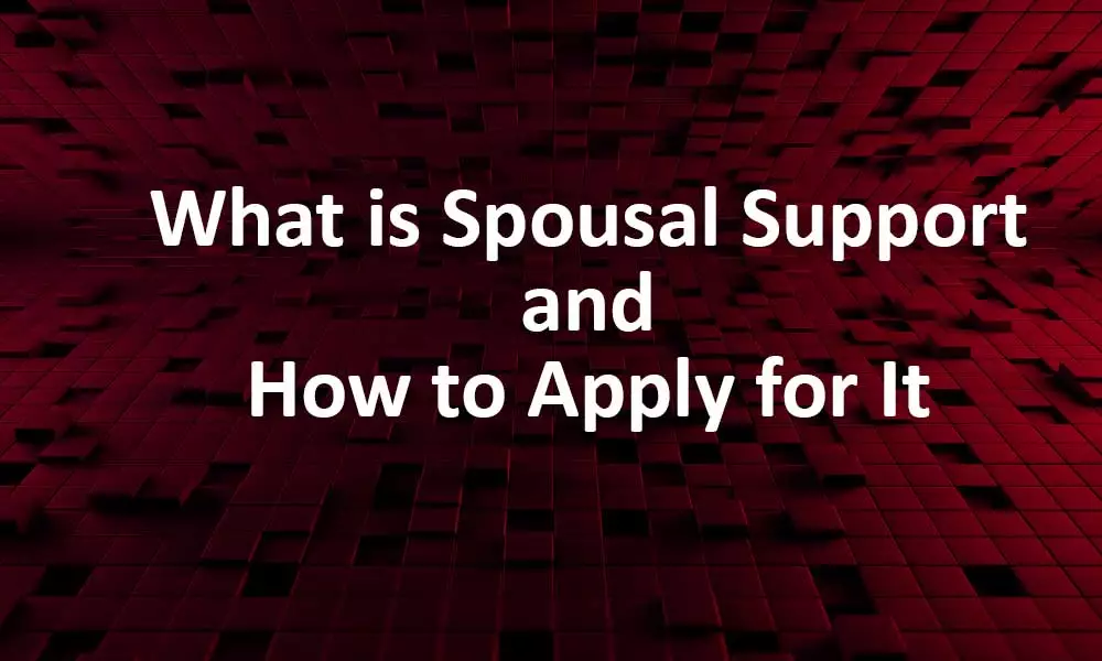 A Thorough Guide to Spousal Support Law