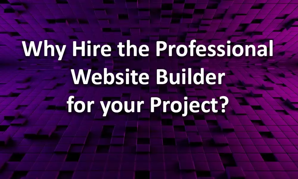 Professional website builder