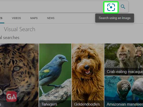 Bing Rev Image Search