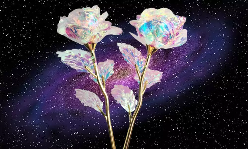 What is Galaxy Rose and How it is Made