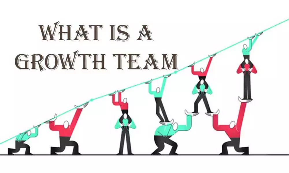 what is a growth team