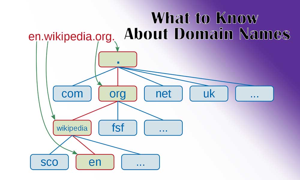 What to Know About Domain Names