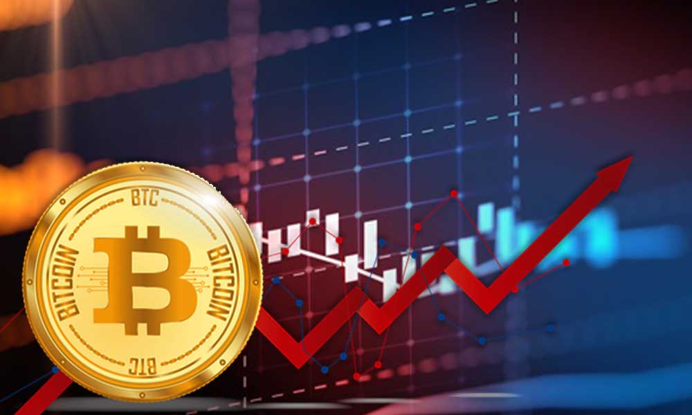 Price Fluctuations of Bitcoin