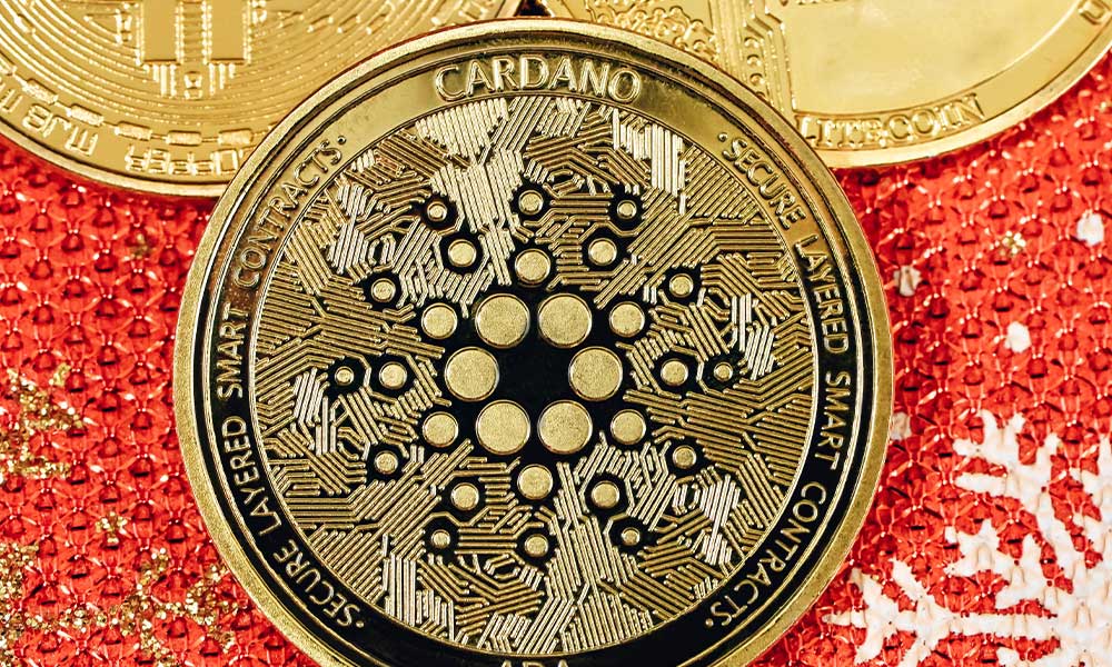 You Must Know About Cardano
