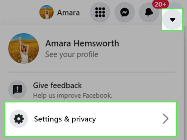 Tap on the drop-down menu and select Settings and Privacy.