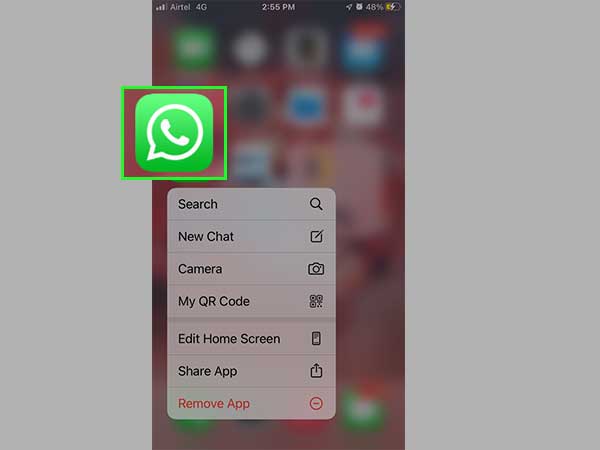 Press and hold the WhatsApp icon.