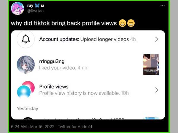 Tweet on TikTok Profile Views Option