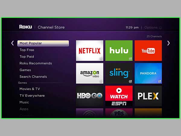 Roku Homepage