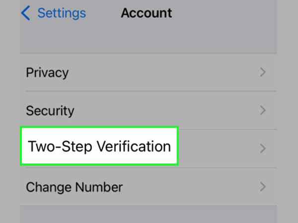 Tap on Two-Step Verification.