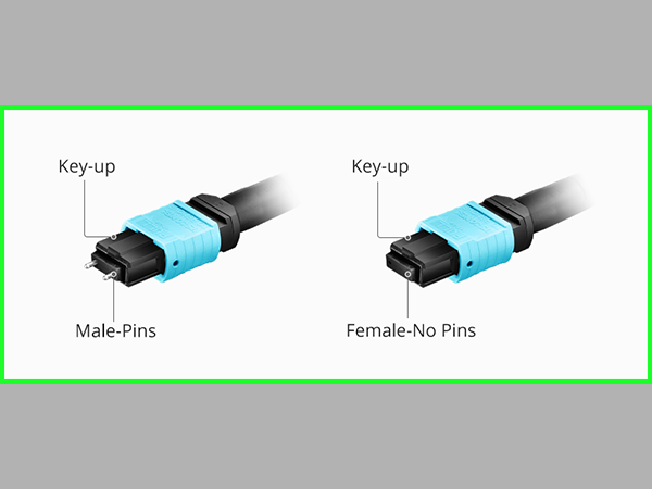 Male and Female Cables and Connectors