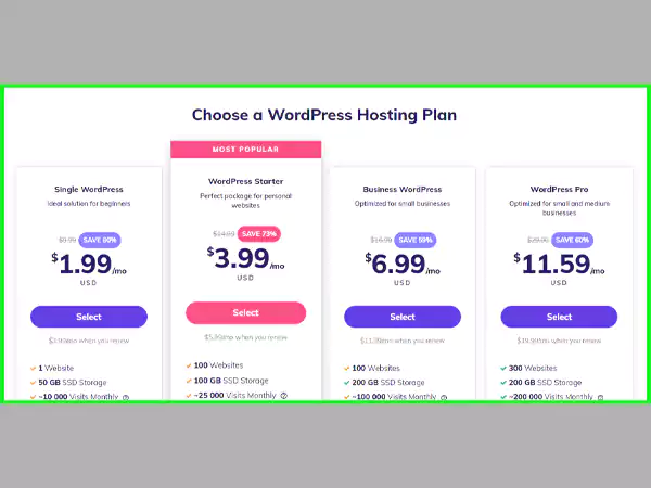 WordPress Hosting plan