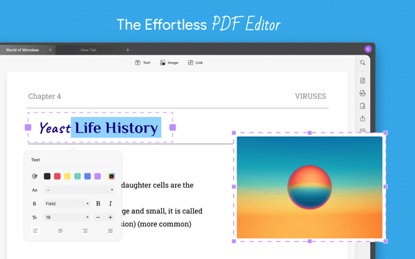 effortless pdf