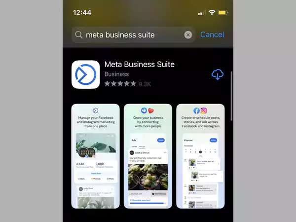 download the meta business suite on your iphone