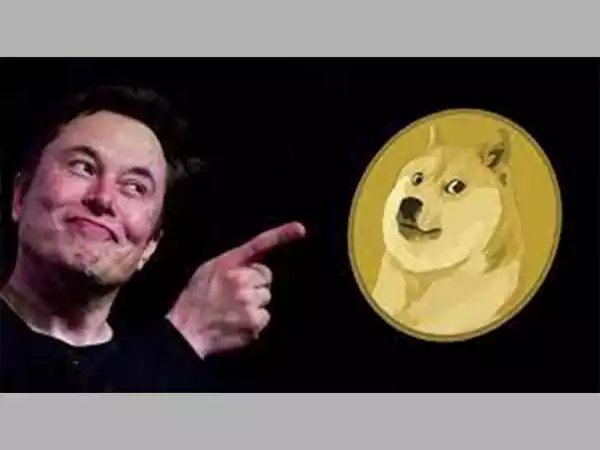 Dogecoin and Musk Meme
