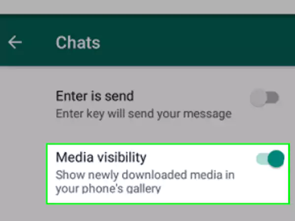 Enable Media Visibility