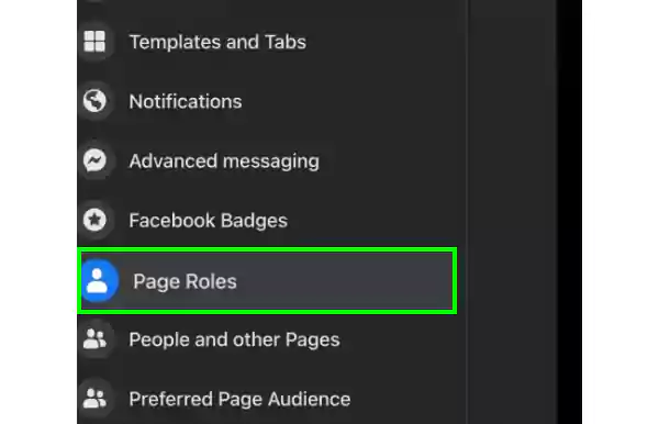 Tap on Page Roles