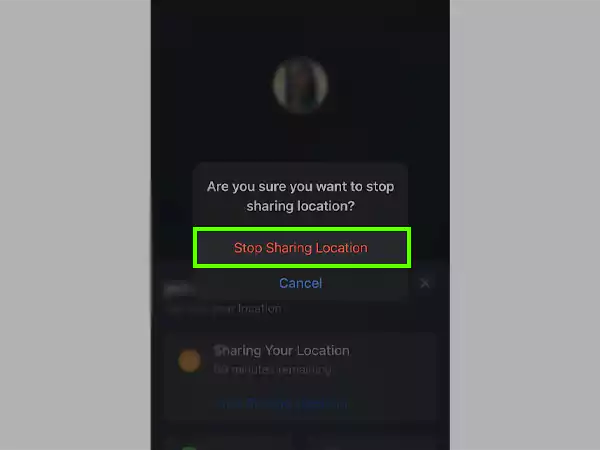 Tap on Stop Sharing Location.