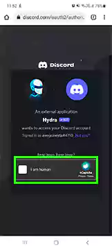 Complete the captcha verification on Discord