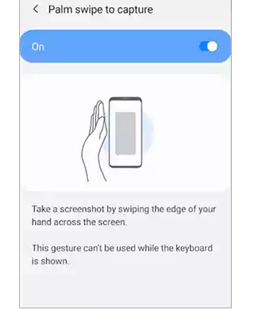 Palm Swipe Option