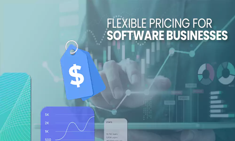Flexible pricing for software Business
