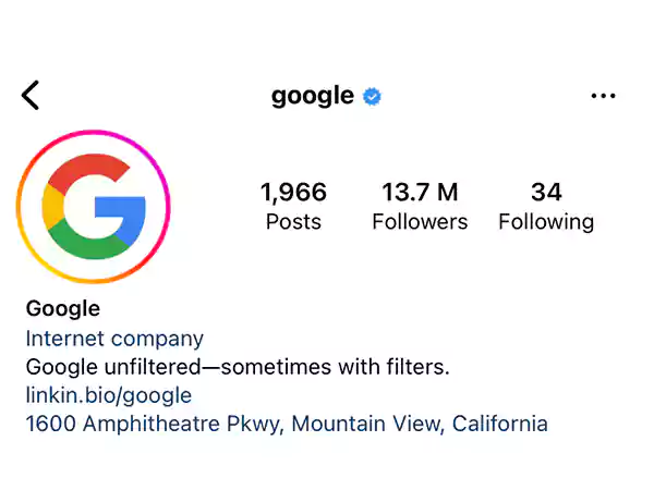 Verified Instagram Profile of Google