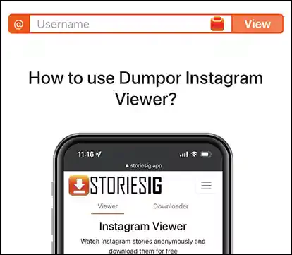 Dumpor-website
