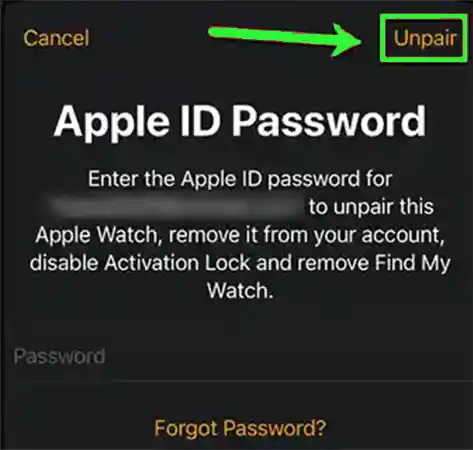 Enter your Apple ID password & tap on Unpair.