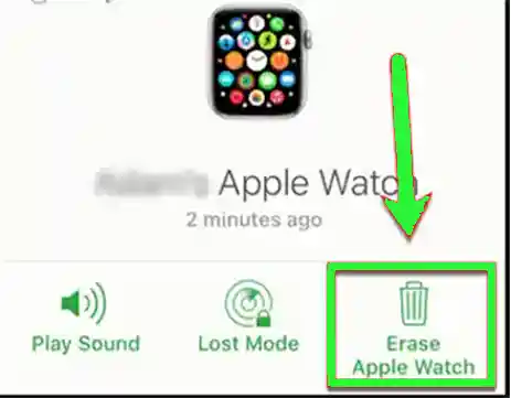 Tap on Erase Apple Watch.