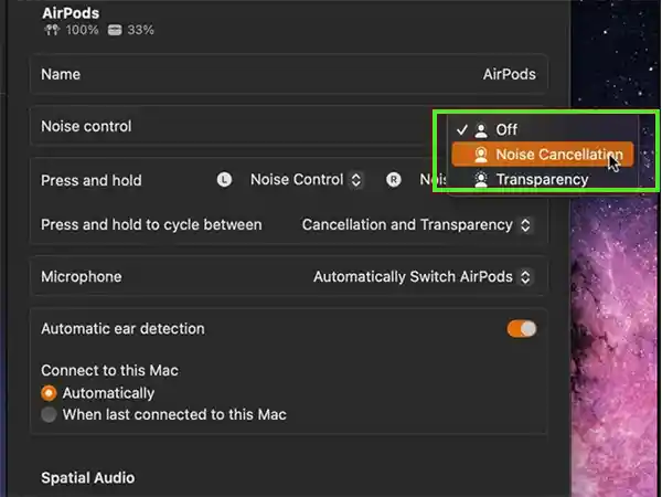 Click on Noise Control and select Noise Cancellation.