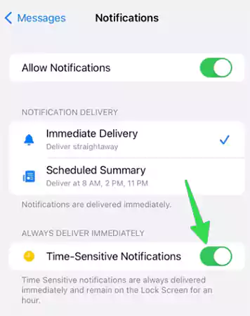 Turn on Time-Sensitive Notifications