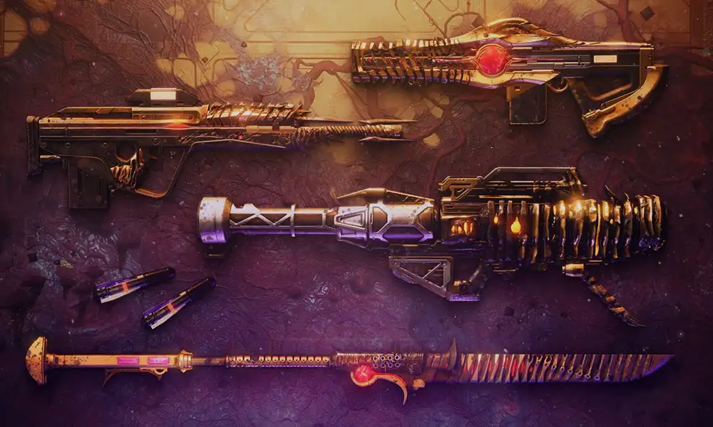 Destiny 2 weapons