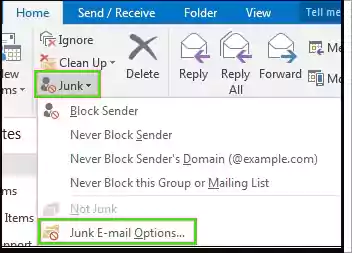 Click on Junk and select Junk Email Options