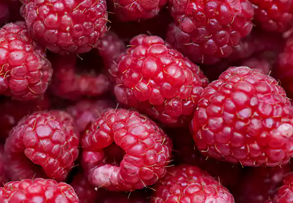 Raspberry