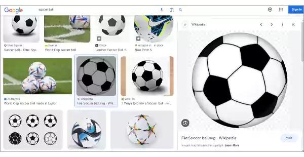 Soccer ball image search result