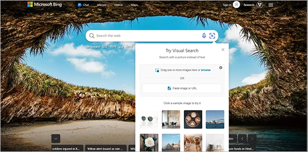Try Visual Search - Bing