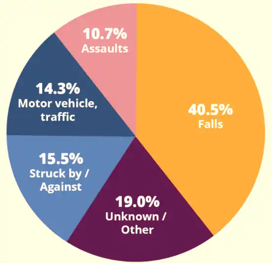 Leading causes of TBI