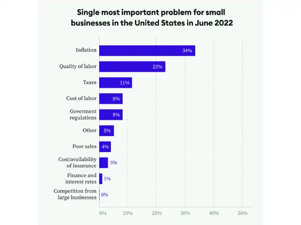 (Graphic) Problems for Small Businesses