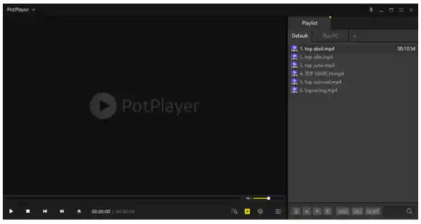PotPlayer User Interface