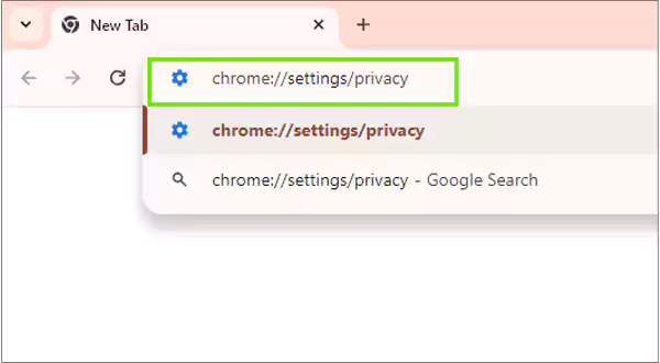 chrome settings privacy
