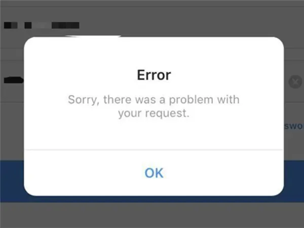 Sorry there was a problem with your request Instagram issue.