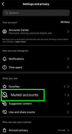 Tap on Muted Accounts in Settings and Privacy