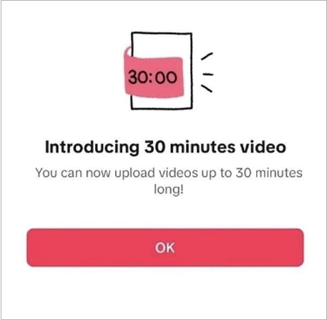 TikTok 30 minute video