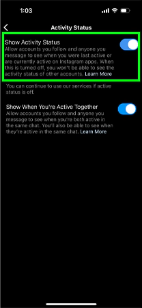 Turn on the toggle for Show Activity Status