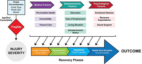 Recovery phases