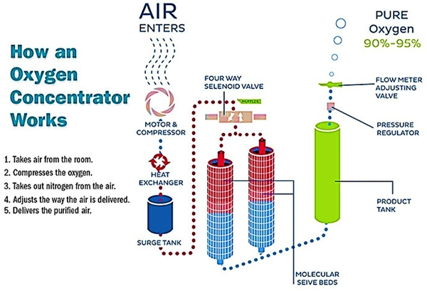 How an Oxygen Concentrator Works 