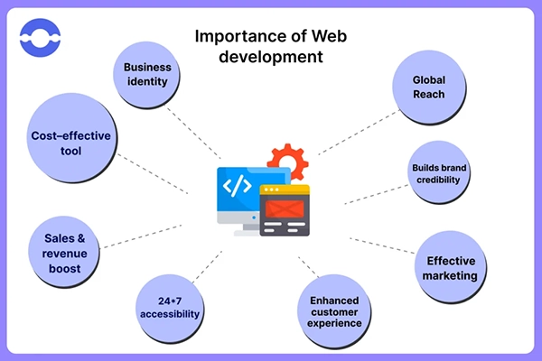 Importance of Web Development 