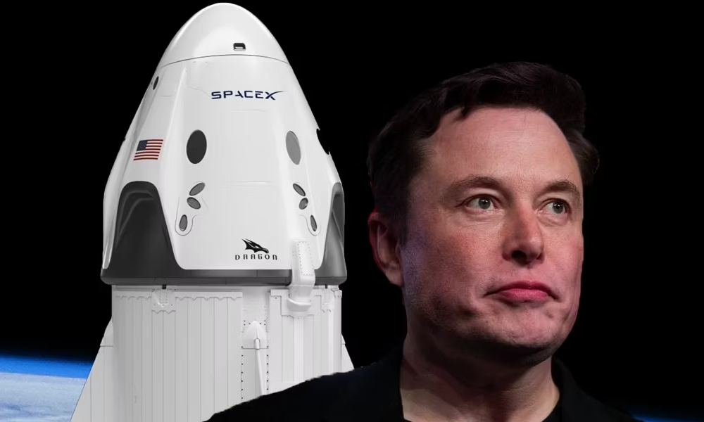 d-spaceX